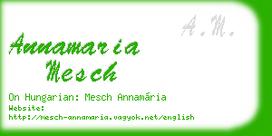 annamaria mesch business card